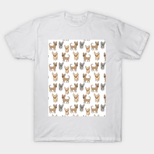 Chihuahua chihuahuas T-Shirt